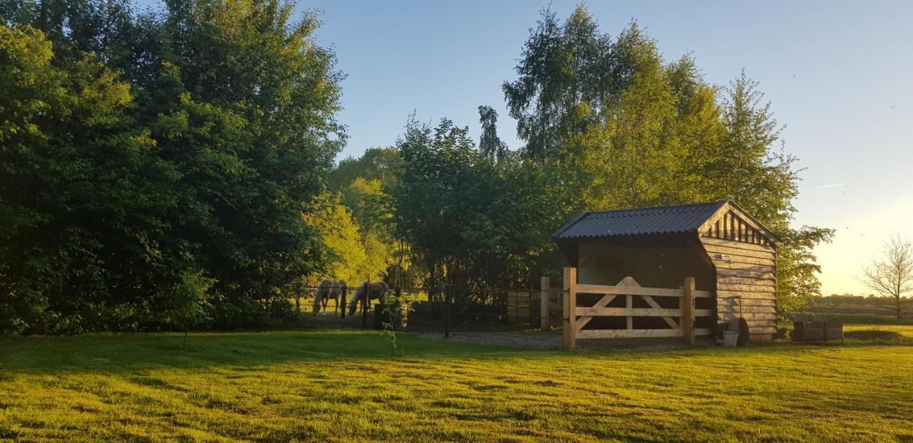 Bij Saar Bed & Breakfast Zwinderen ภายนอก รูปภาพ